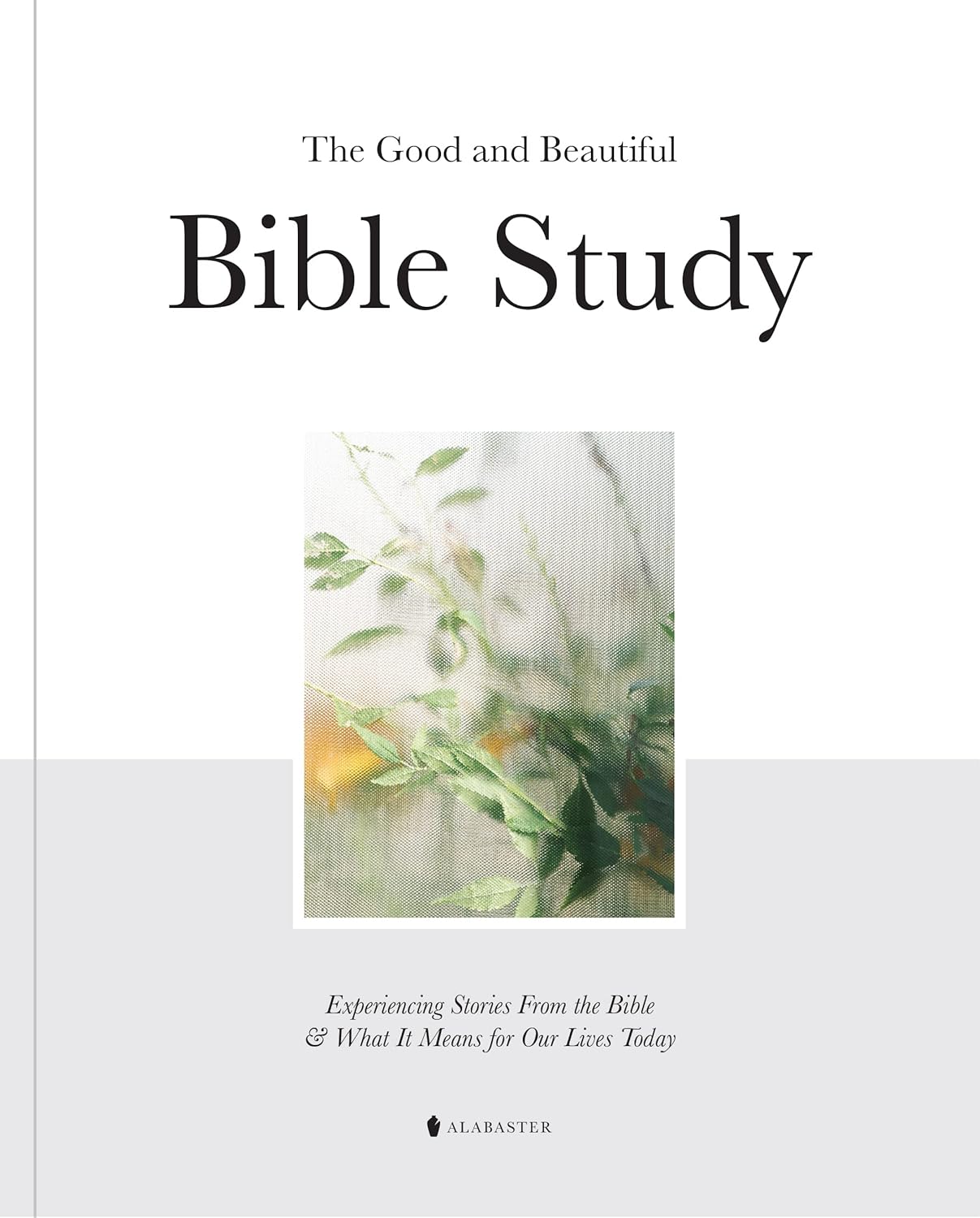 Good and Beautiful Bible Study, Special Bible Study Experience, Innovative Appro...