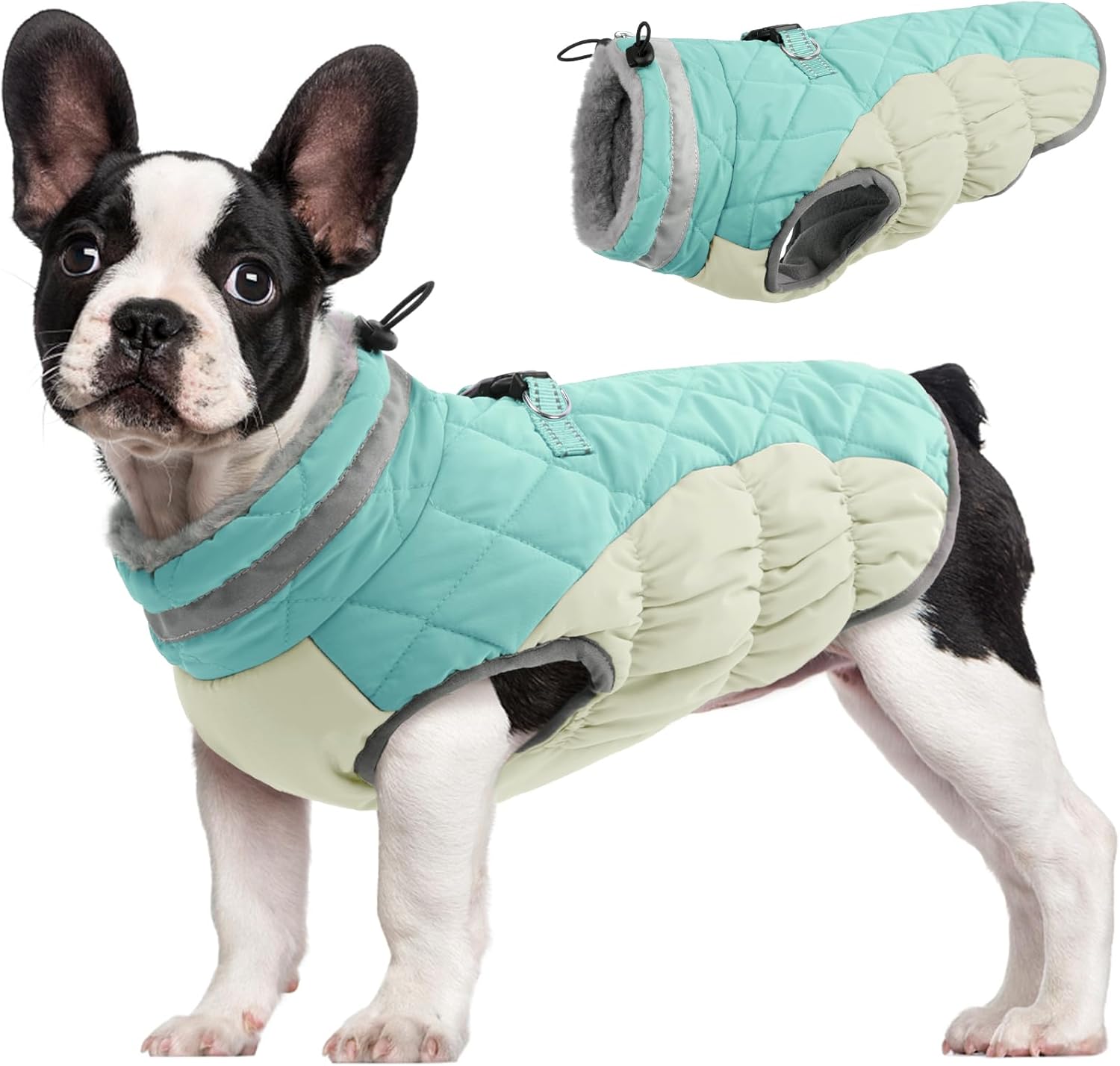 Unique FUAMEY Dog Coat for Small Dogs, Special Waterproof Dog Winter Jacket with...