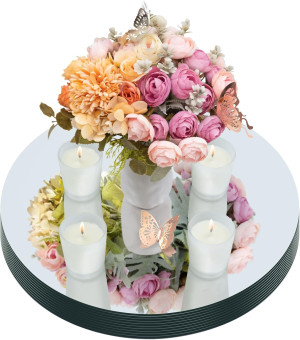 Round Acrylic Mirrors for Centerpieces 10 PCS Circ...